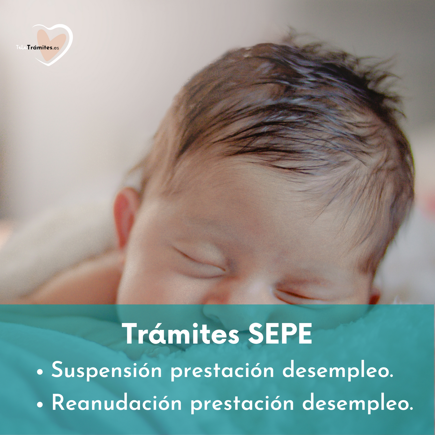 Pack Maternidad y Desempleo